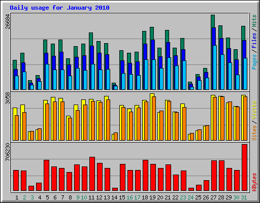 Daily usage for January 2010