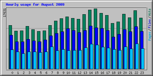 Hourly usage for August 2009