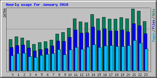 Hourly usage for January 2010