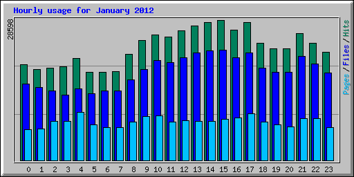 Hourly usage for January 2012